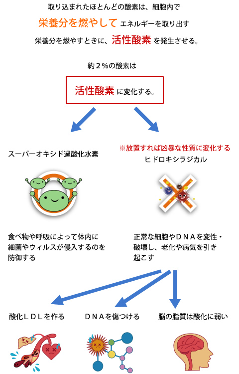 活性酸素働きイラスト